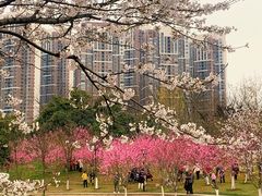 -堤角公园