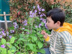-昆山城市生态森林公园