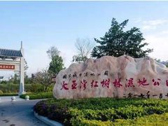 -大亚湾红树林城市湿地公园