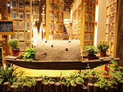 -猫的天空之城概念书店(杭州南宋御街店)