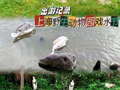-上海野生动物园