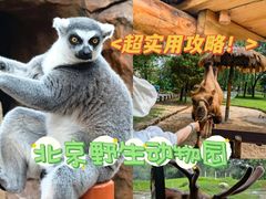 -北京野生动物园
