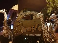 -清迈夜间动物园