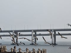 -黑石礁公园