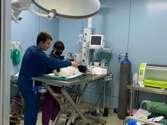 -美联众合宠物医院·爱萌分院·内外科·猫科中心