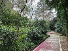 -广州市帽峰山景区