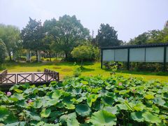 -美兰湖景区
