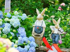 -上海共青森林公园