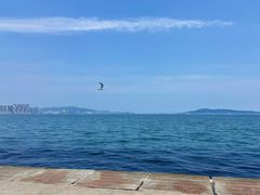 -悦海公园