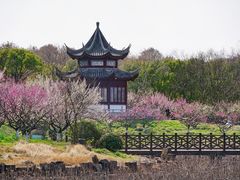 -上海海湾国家森林公园