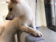 -听TA说宠咖·宠物生活馆(天韵水岸店)