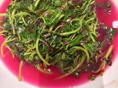 -金陵后厨·南京菜(新街口秣陵路店)