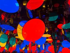 -旧金山现代艺术博物馆