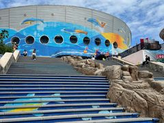 -海合安青岛极地海洋公园
