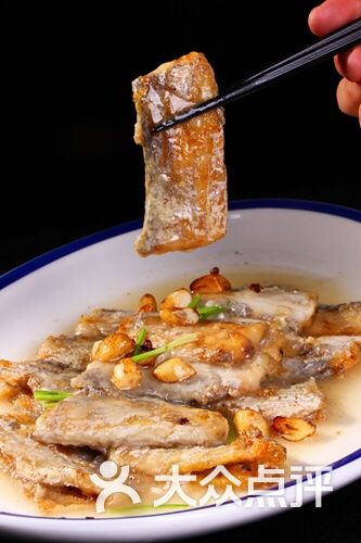 四季桐祥海鲜·渔家菜-烩刀鱼图片-青岛美食-大众点评网