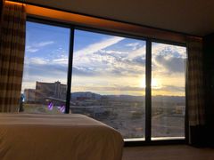 -拉斯维加斯永利酒店