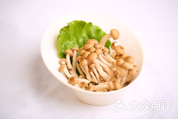 鼎尊锅物料理蟹王菇图片 第386张