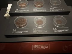 -马王堆汉墓遗址