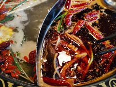 -小志家.鲜牦牛肉牛杂火锅野生菌汤锅