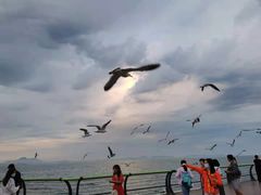 -东港音乐喷泉广场