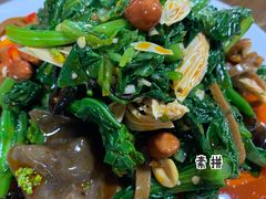 -普集烧鸡(新店)