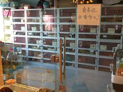 -藦茜花园宠物主题亲子互动体验馆(国顺东路店)