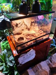 -酷嗒动物文化乐园(cutezoo西溪乐天城店)