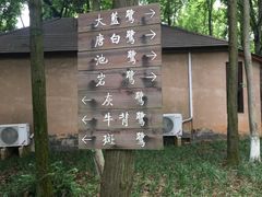 -象山森林公园