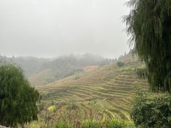 -南靖田螺坑土楼群景区
