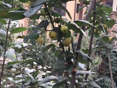 -天鹅湖生态旅游风景区