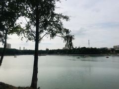 -葛仙湖公园