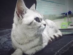 -暖阳宠物医院·犬猫康复中心·骨科