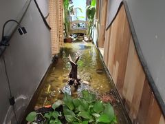 -邈墨茶馆(凤起路店)