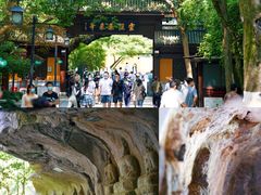 -灵隐飞来峰景区