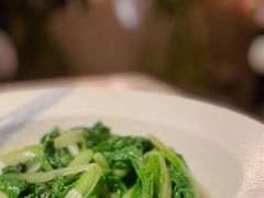 鸡毛菜-素描餐厅(灵隐天竺店)