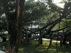 -颐和澜悦欢乐水世界(原颐和温泉城)