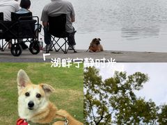 -尚贤河湿地