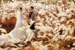 -苏菲亚婚纱摄影