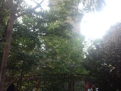 -宝庆寺塔