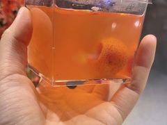 -芝小官毛肚火锅海鲜自助(淮安清江浦区新亚店)