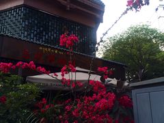 -乌托邦咖啡(武侯祠店)