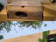 -恩格贝生态旅游区