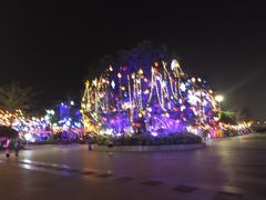 -厦门园林博览苑