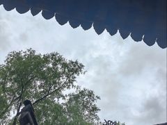 -王顺山国家森林公园