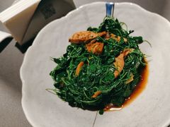 -新梅华餐厅(星悦汇店)