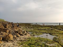 -濑长岛