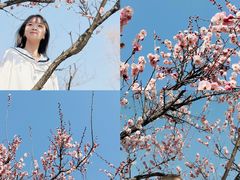 -石塘人家