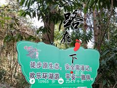 -罗坑大草原