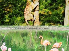 -杭州野生动物世界