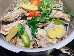 -千岛蚝高压锅生蚝·人参火锅(白云万达店)